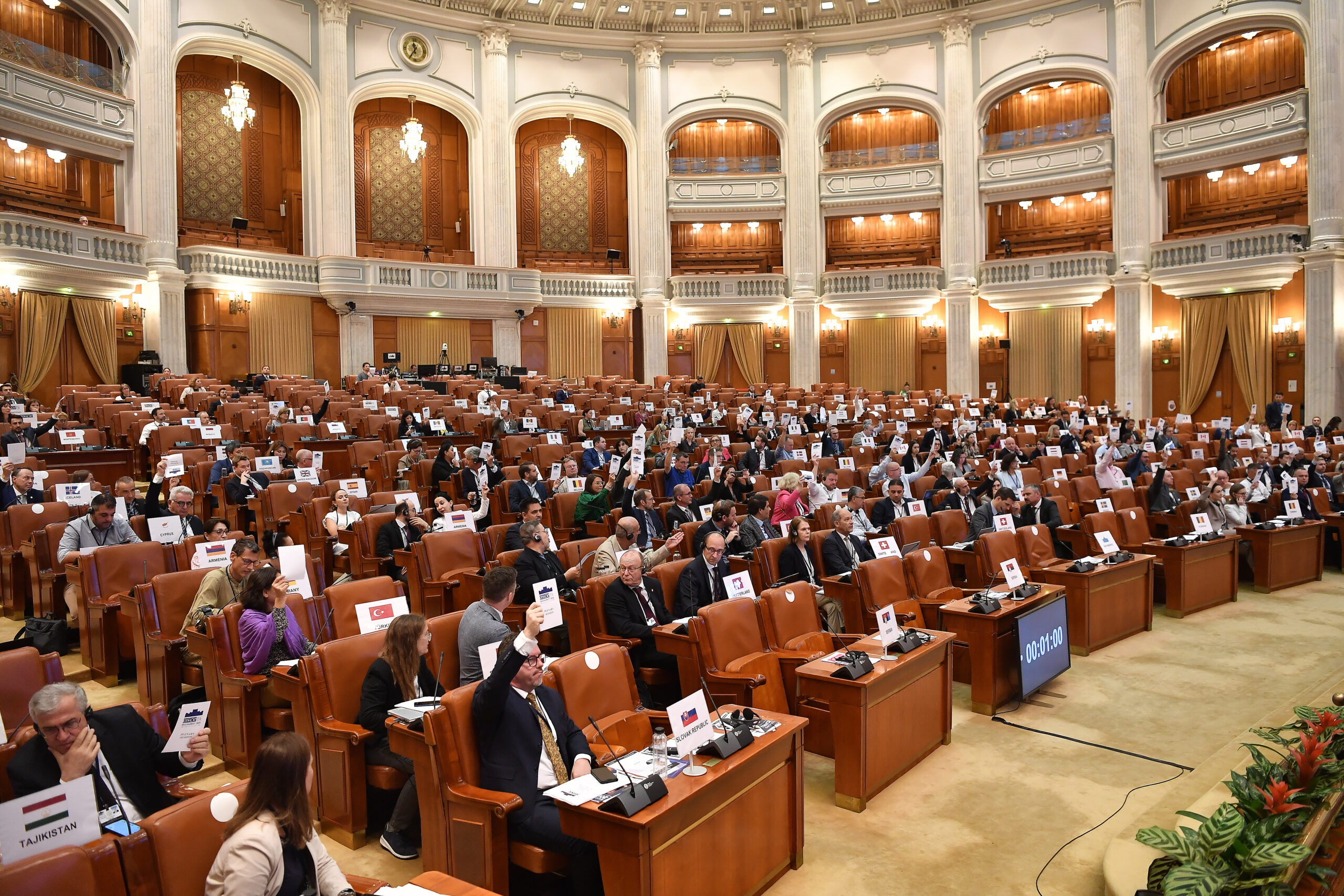 The Bucharest Declaration