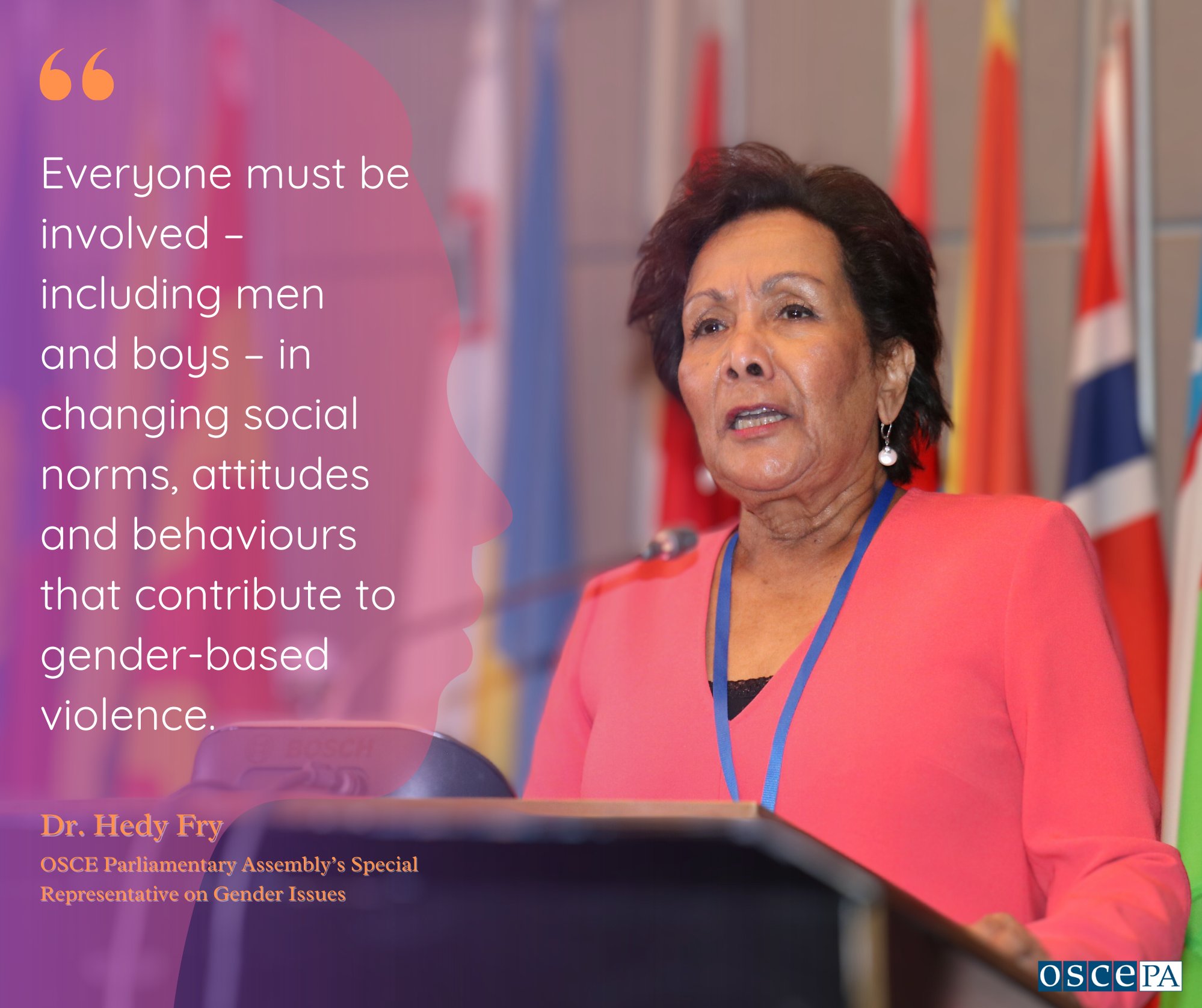 Observing Human Rights Day and the 16 Days of Activism, OSCE PA Special Representative calls for concerted action against gender-based violence